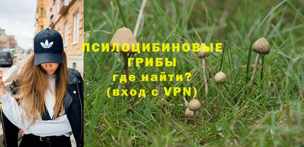 2c-b Михайлов