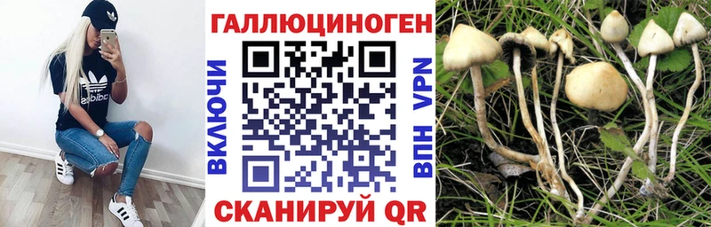 Купить где  Нижний Ломов  Галлюциногенные грибы мицелий 