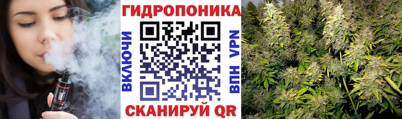 Купить закладки  Нижний Ломов  Шишки марихуана White Widow 